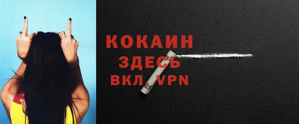 мяу мяу мука Белокуриха