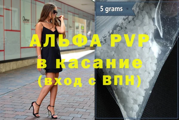 сатива Богородицк