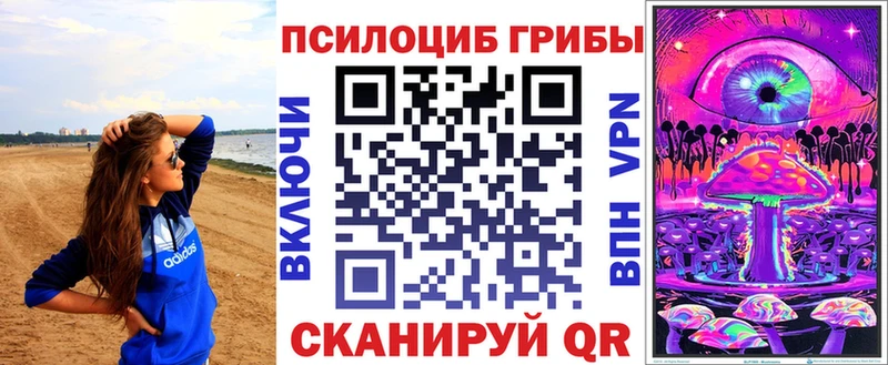 Галлюциногенные грибы мицелий  продажа наркотиков  KRAKEN ONION  маркетплейс как зайти  Обь 